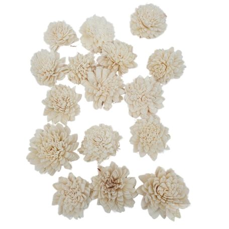 Shola Zinnia Nature - 4 cm-es virágok - 16 db/csomag