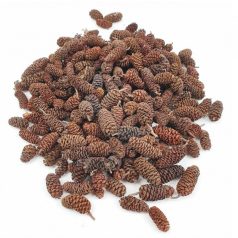 Birch Pine termés - Barna - 16 dkg/csomag