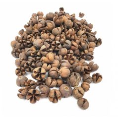 Tulipán termés - Chiruni Pod - Natúr - 28 dkg/csomag
