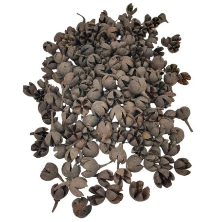  Tulipán termés - Chiruni Pod - Natúr - 28 dkg/csomag
