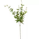 Eukaliptusz ág - Világoszöld - 90 cm 