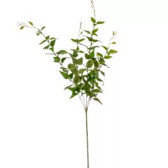 Eukaliptusz ág - Világoszöld - 90 cm 