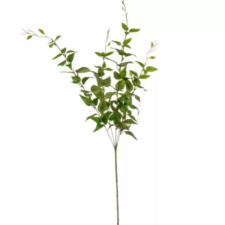 Eukaliptusz ág - Világoszöld - 90 cm 
