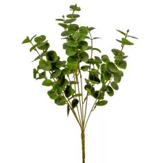 Eukaliptusz bokor - 7 ágú - Zöld - 46 cm