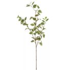 Fikusz ág - 90 cm