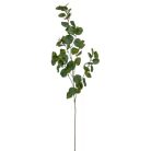 Eukaliptusz ág - Zöld - 90 cm