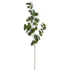 Eukaliptusz ág - Zöld - 90 cm