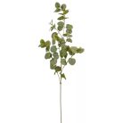 Eukaliptusz ág - Világoszöld - 90 cm