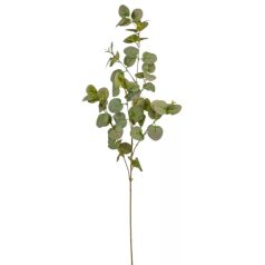 Eukaliptusz ág - Világoszöld - 90 cm