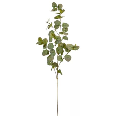 Eukaliptusz ág - Világoszöld - 90 cm