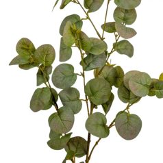 Eukaliptusz ág - Világoszöld - 90 cm