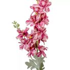 Szarkaláb mix - 4 színben - 85 cm