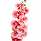 Orchidea szálas - Sötét rózsaszín - 95 cm