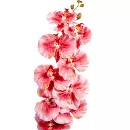 Orchidea szálas - Sötét rózsaszín - 95 cm