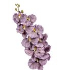 Orchidea szálas - Sötétlila - 95 cm