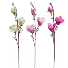 Magnólia ág - 4 virágos mix - 80 cm