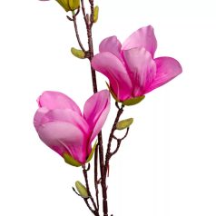 Magnólia ág - 4 virágos mix - 80 cm