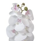 Orchidea szálas gumi - Fehér - 75 cm