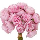 Dekor peonia csokor - 4 szín  - 28 cm 