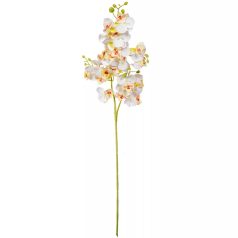 Orchidea szálas - Krém - 76 cm