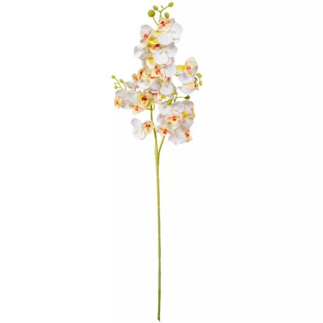 Orchidea szálas - Krém - 76 cm