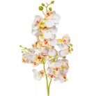 Orchidea szálas - Krém - 76 cm