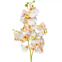 Orchidea szálas - Krém - 76 cm