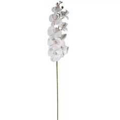 Orhidea szálas - Krém - 105 cm