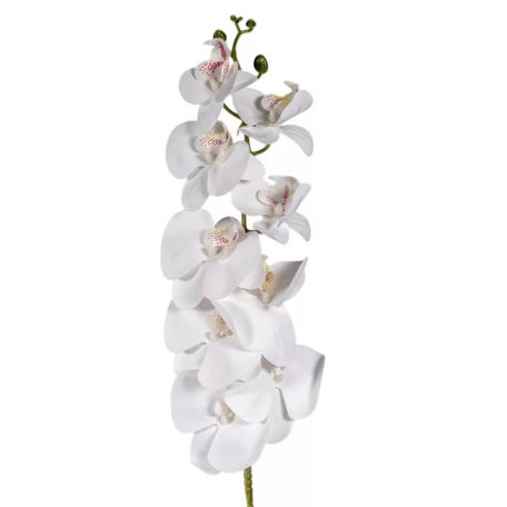 Orhidea szálas - Krém - 105 cm