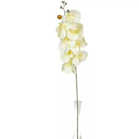 Orchidea szálas hamvas - Krém - 90 cm