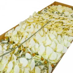 Orchidea szálas hamvas - Krém - 90 cm