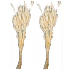 Lagurusz - Fehér - 60 cm - 50 gr