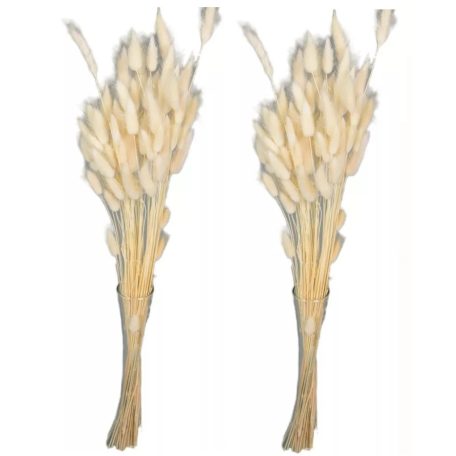 Lagurusz - Fehér - 60 cm - 50 gr