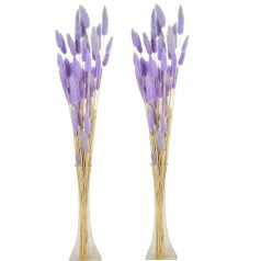 Lagurusz szárított - Lila - 60 cm - 50 gr