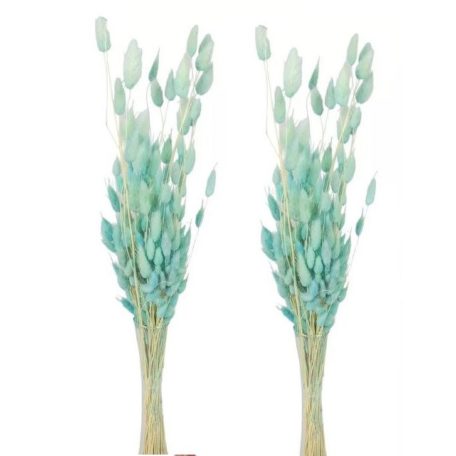 Lagurusz szárított - Menta - 60 cm - 50 gr