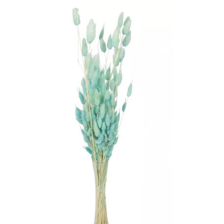 Lagurusz szárított - Menta - 60 cm - 50 gr