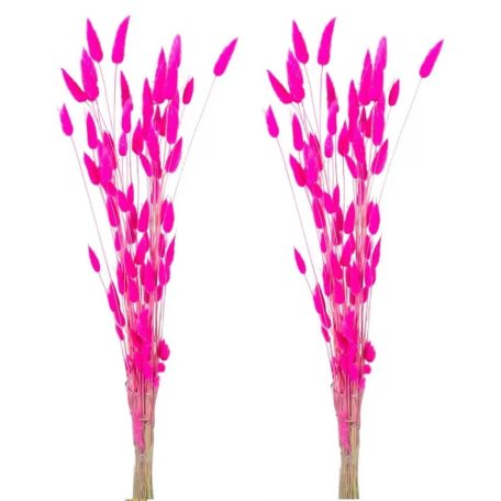Lagurusz szárított - Pink - 60 cm - 50 gr