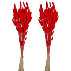 Lagurusz szárított - Piros - 60 cm - 50 gr