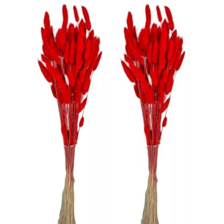 Lagurusz szárított - Piros - 60 cm - 50 gr