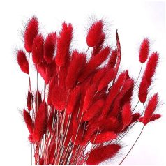 Lagurusz szárított - Piros - 60 cm - 50 gr