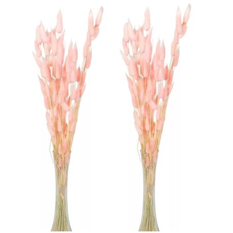 Lagurusz szárított - Rózsaszín - 60 cm - 50 gr
