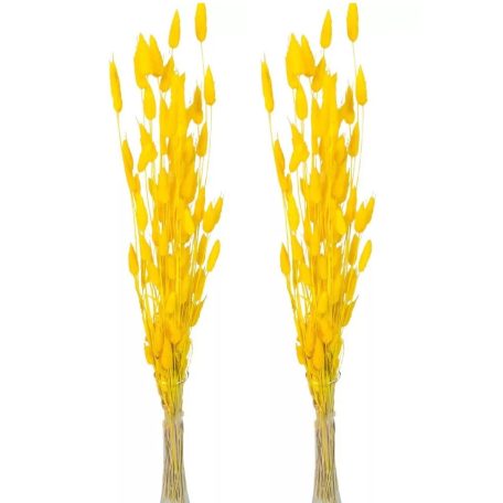 Lagurusz szárított - Sárga - 60 cm - 50 gr