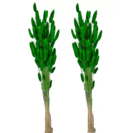 Lagurusz szárított - Sötétzöld - 60 cm - 50 gr