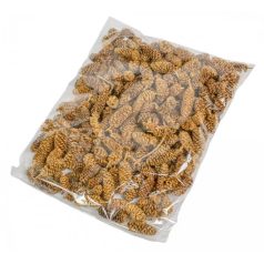 Birch pine termés - Arany 2. - 15 dkg/csomag