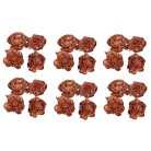 Ming boglárka - Barna - 2 cm virágok - 100 db/csomag