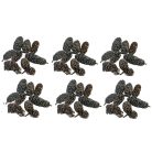 Birch pine termés - Fekete - 21 dkg/csomag 