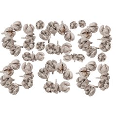   Tulipán termés - Chiruni Pod - Havas fehér - 20 dkg/csomag