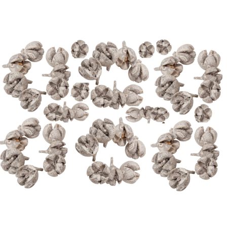 Tulipán termés - Chiruni Pod - Havas fehér - 20 dkg/csomag