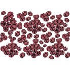 Tulipán termés - Chiruni Pod - Pink - 26 dkg/csomag