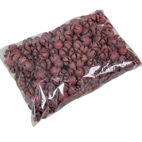 Tulipán termés - Chiruni Pod - Pink - 26 dkg/csomag